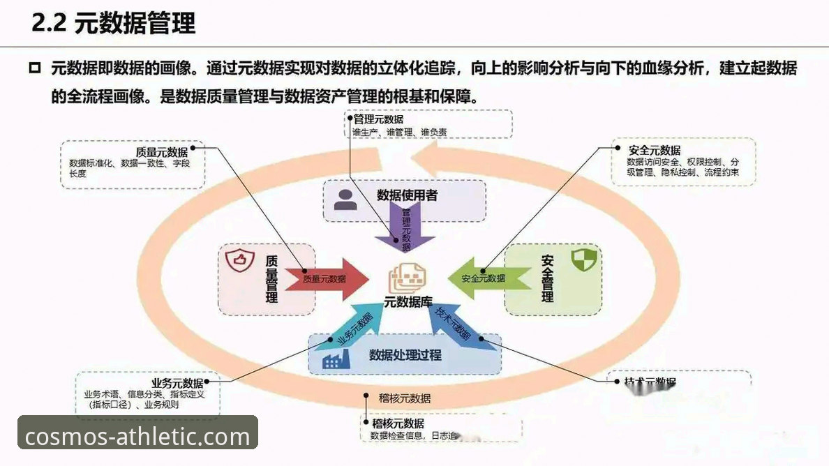 官方数据与用户实测对比：星空体育赛事数据下载的价值与选择指南
