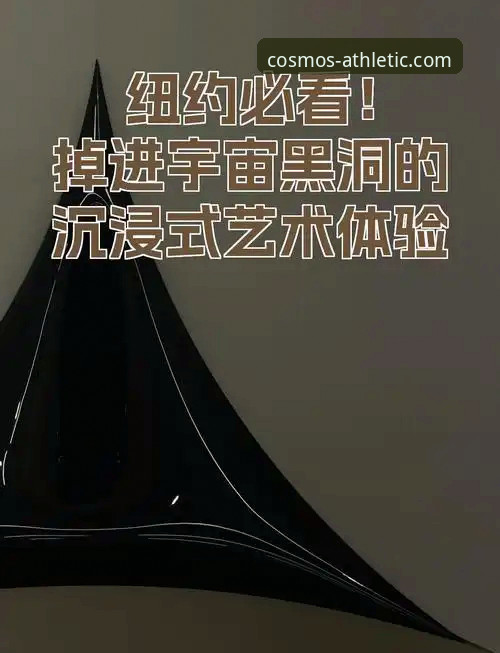 星空体育平台最新版完整使用指南：从安装到沉浸体验的全流程解析