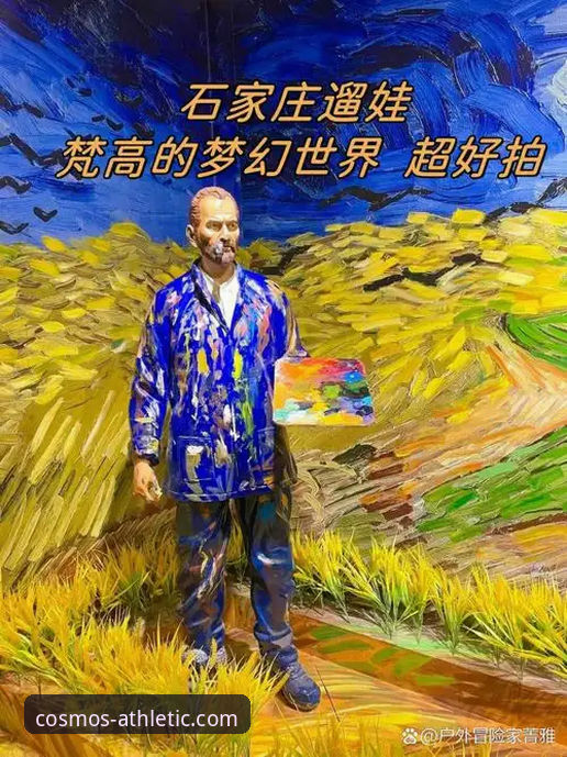 星空体育版本更新后有哪些新变化？老用户带你一探究竟